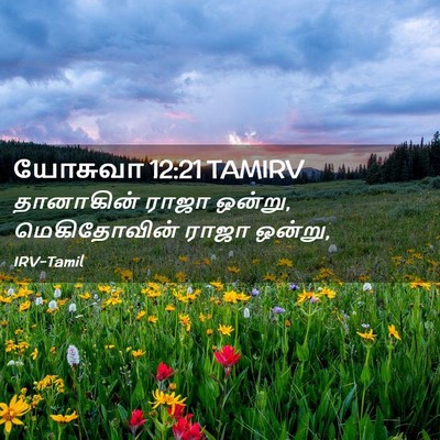 Picture 02 - யோசுவா 12:21 TAMIRV - தானாகின் ராஜா - Bible Verse Picture
