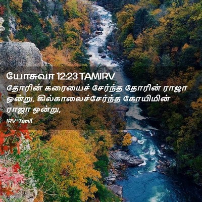 Picture 02 - யோசுவா 12:23 TAMIRV - தோரின் கரையைச் - Bible Verse Picture
