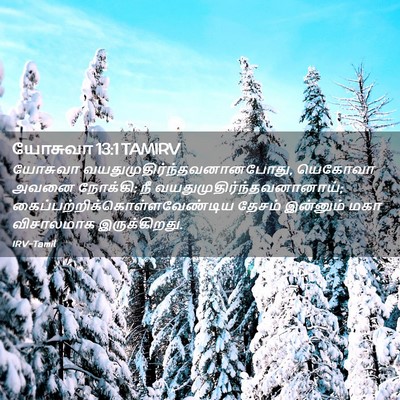 Picture 02 - யோசுவா 13:1 TAMIRV - யோசுவா - Bible Verse Picture