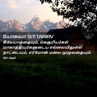 Picture 02 - யோசுவா 13:11 TAMIRV - கீலேயாத்தையும், - Bible Verse Picture