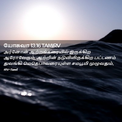Picture 02 - யோசுவா 13:16 TAMIRV - அர்னோன் - Bible Verse Picture