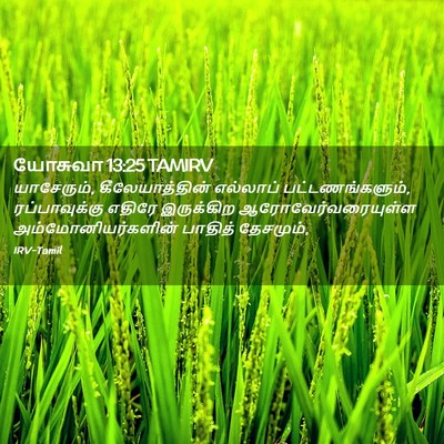 Picture 02 - யோசுவா 13:25 TAMIRV - யாசேரும், - Bible Verse Picture