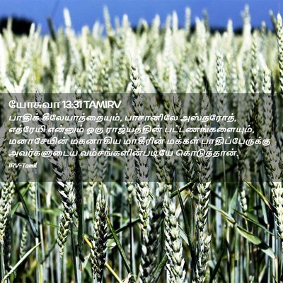Picture 02 - யோசுவா 13:31 TAMIRV - பாதிக் - Bible Verse Picture