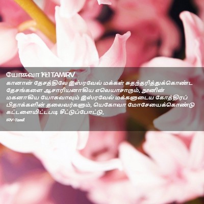 Picture 02 - யோசுவா 14:1 TAMIRV - கானான் தேசத்திலே - Bible Verse Picture