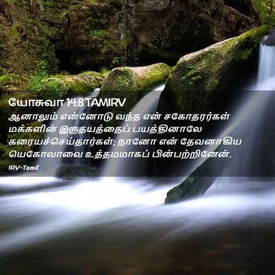 Picture 02 - யோசுவா 14:8 TAMIRV - ஆனாலும் என்னோடு - Bible Verse Picture