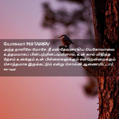 Picture 02 - யோசுவா 14:9 TAMIRV - அந்த நாளிலே மோசே: - Bible Verse Picture