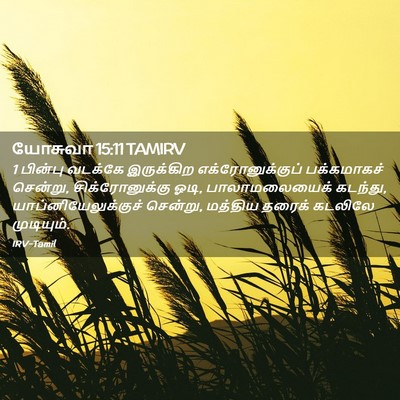 Picture 02 - யோசுவா 15:11 TAMIRV - 1 பின்பு வடக்கே - Bible Verse Picture