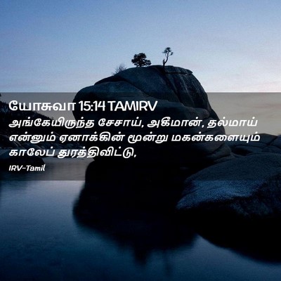 Picture 02 - யோசுவா 15:14 TAMIRV - அங்கேயிருந்த - Bible Verse Picture