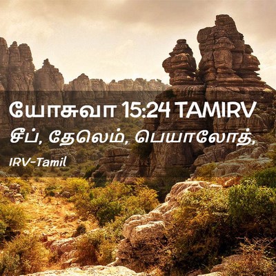 Picture 02 - யோசுவா 15:24 TAMIRV - சீப், தேலெம், - Bible Verse Picture