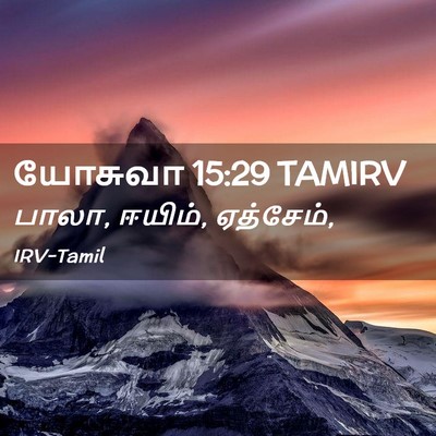 Picture 02 - யோசுவா 15:29 TAMIRV - பாலா, ஈயிம், - Bible Verse Picture