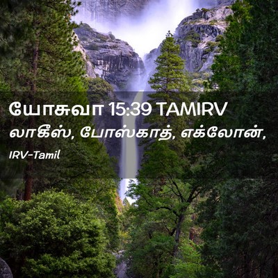 Picture 02 - யோசுவா 15:39 TAMIRV - லாகீஸ், போஸ்காத், - Bible Verse Picture