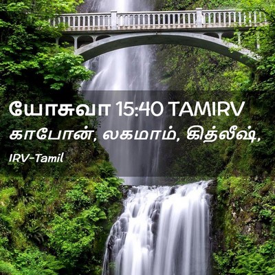 Picture 02 - யோசுவா 15:40 TAMIRV - காபோன், லகமாம், - Bible Verse Picture