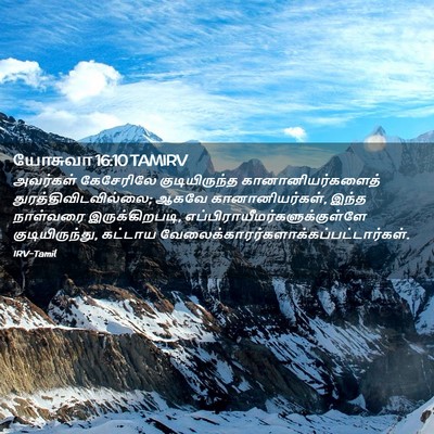 Picture 02 - யோசுவா 16:10 TAMIRV - அவர்கள் கேசேரிலே - Bible Verse Picture