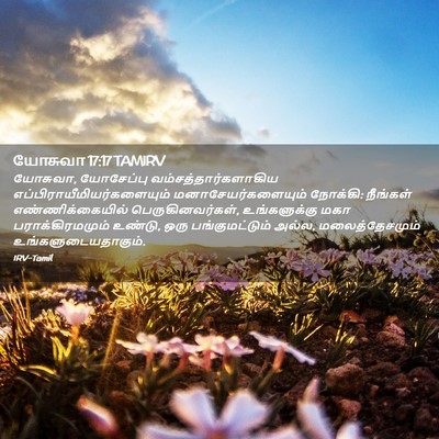 Picture 02 - யோசுவா 17:17 TAMIRV - யோசுவா, யோசேப்பு - Bible Verse Picture
