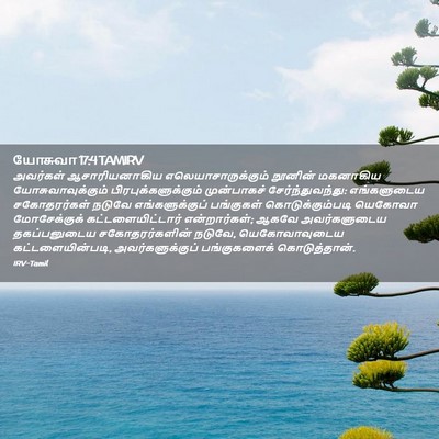 Picture 02 - யோசுவா 17:4 TAMIRV - அவர்கள் - Bible Verse Picture