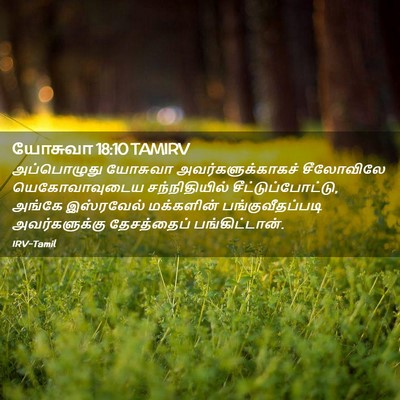 Picture 02 - யோசுவா 18:10 TAMIRV - அப்பொழுது யோசுவா - Bible Verse Picture