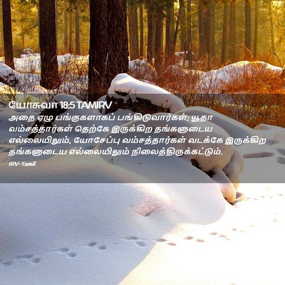 Picture 02 - யோசுவா 18:5 TAMIRV - அதை ஏழு - Bible Verse Picture