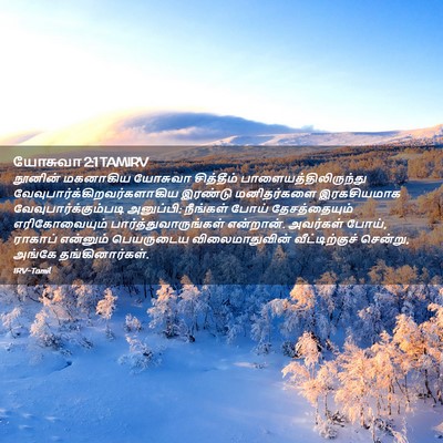 Picture 02 - யோசுவா 2:1 TAMIRV - நூனின் மகனாகிய - Bible Verse Picture