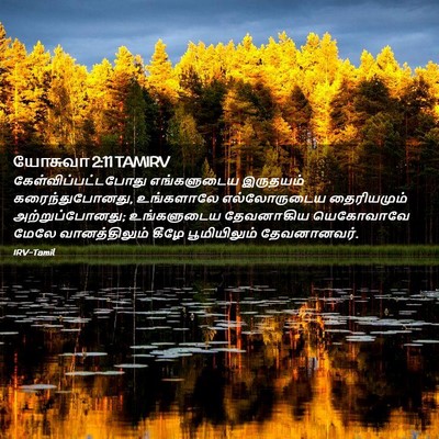 Picture 02 - யோசுவா 2:11 TAMIRV - கேள்விப்பட்டபோது - Bible Verse Picture