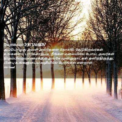 Picture 02 - யோசுவா 2:16 TAMIRV - அப்பொழுது அவள் - Bible Verse Picture