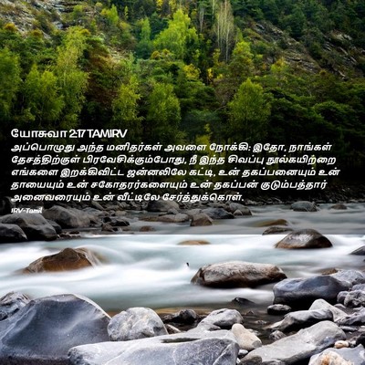 Picture 02 - யோசுவா 2:17 TAMIRV - அப்பொழுது அந்த - Bible Verse Picture