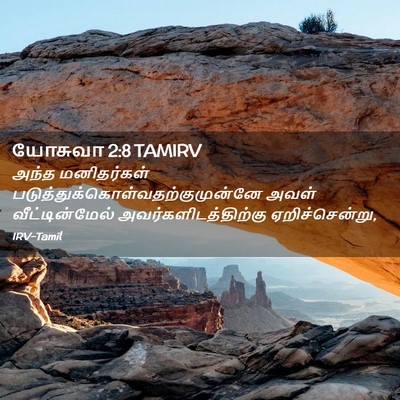 Picture 02 - யோசுவா 2:8 TAMIRV - அந்த மனிதர்கள் - Bible Verse Picture