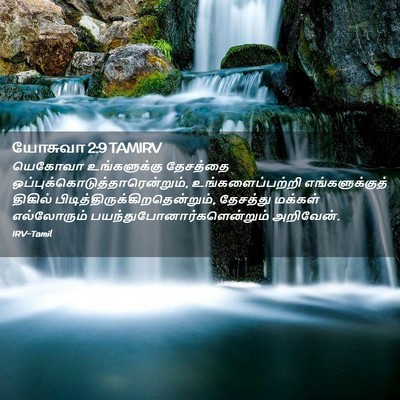 Picture 02 - யோசுவா 2:9 TAMIRV - யெகோவா உங்களுக்கு - Bible Verse Picture