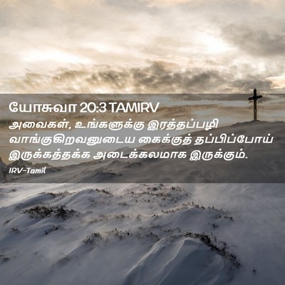 Picture 02 - யோசுவா 20:3 TAMIRV - அவைகள், - Bible Verse Picture