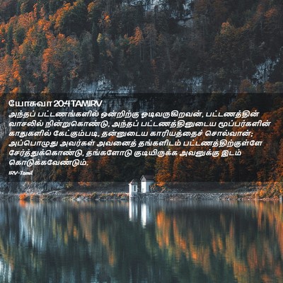 Picture 02 - யோசுவா 20:4 TAMIRV - அந்தப் - Bible Verse Picture