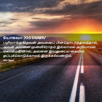 Picture 02 - யோசுவா 20:5 TAMIRV - பழிவாங்குகிறவன் - Bible Verse Picture