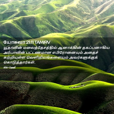 Picture 02 - யோசுவா 21:11 TAMIRV - யூதாவின் - Bible Verse Picture