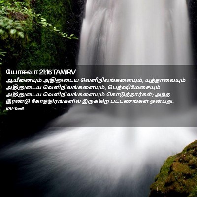 Picture 02 - யோசுவா 21:16 TAMIRV - ஆயீனையும் - Bible Verse Picture