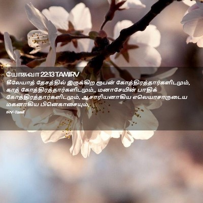 Picture 02 - யோசுவா 22:13 TAMIRV - கீலேயாத் - Bible Verse Picture