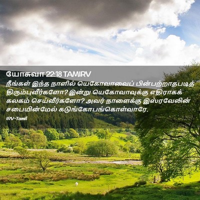 Picture 02 - யோசுவா 22:18 TAMIRV - நீங்கள் இந்த - Bible Verse Picture