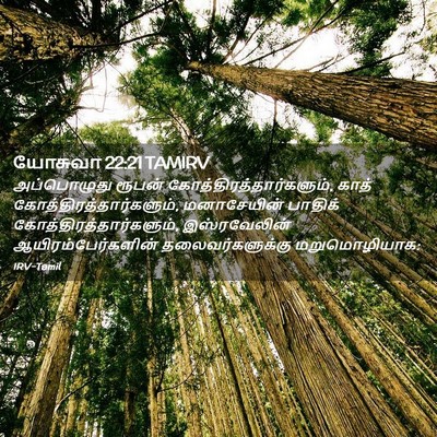 Picture 02 - யோசுவா 22:21 TAMIRV - அப்பொழுது ரூபன் - Bible Verse Picture