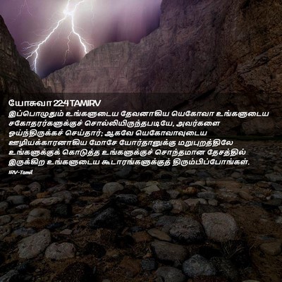 Picture 02 - யோசுவா 22:4 TAMIRV - இப்பொழுதும் - Bible Verse Picture
