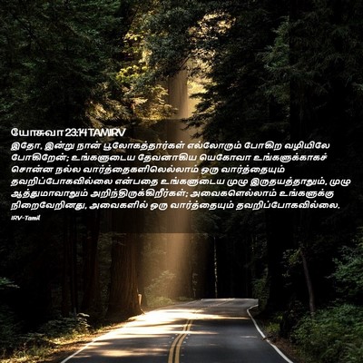 Picture 02 - யோசுவா 23:14 TAMIRV - இதோ, இன்று நான் - Bible Verse Picture