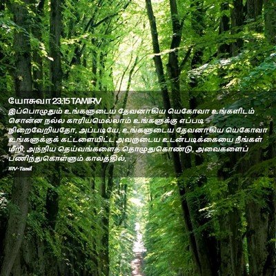Picture 02 - யோசுவா 23:15 TAMIRV - இப்பொழுதும் - Bible Verse Picture
