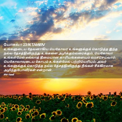 Picture 02 - யோசுவா 23:16 TAMIRV - உங்களுடைய - Bible Verse Picture