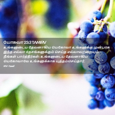 Picture 02 - யோசுவா 23:3 TAMIRV - உங்களுடைய - Bible Verse Picture