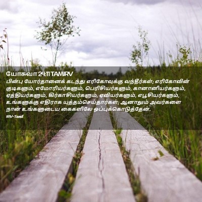 Picture 02 - யோசுவா 24:11 TAMIRV - பின்பு யோர்தானைக் - Bible Verse Picture