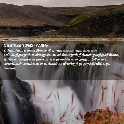 Picture 02 - யோசுவா 24:12 TAMIRV - எமோரியர்களின் - Bible Verse Picture