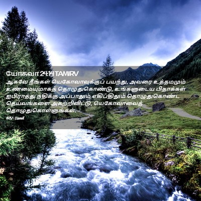 Picture 02 - யோசுவா 24:14 TAMIRV - ஆகவே நீங்கள் - Bible Verse Picture