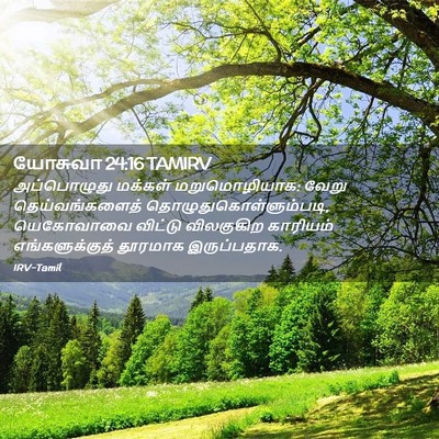 Picture 02 - யோசுவா 24:16 TAMIRV - அப்பொழுது மக்கள் - Bible Verse Picture