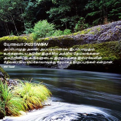 Picture 02 - யோசுவா 24:23 TAMIRV - அப்பொழுது அவன்: - Bible Verse Picture