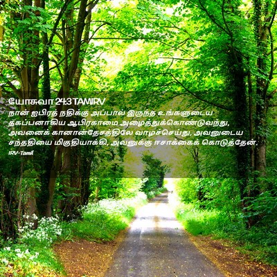 Picture 02 - யோசுவா 24:3 TAMIRV - நான் ஐபிரத் - Bible Verse Picture