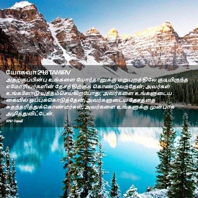 Picture 02 - யோசுவா 24:8 TAMIRV - அதற்குப்பின்பு - Bible Verse Picture