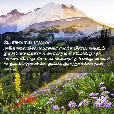 Picture 02 - யோசுவா 3:1 TAMIRV - அதிகாலையிலே - Bible Verse Picture