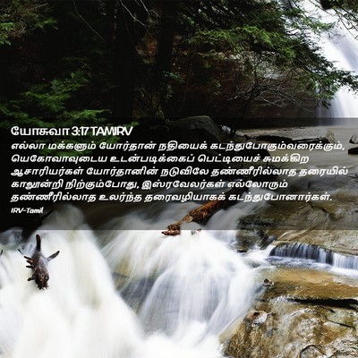 Picture 02 - யோசுவா 3:17 TAMIRV - எல்லா மக்களும் - Bible Verse Picture