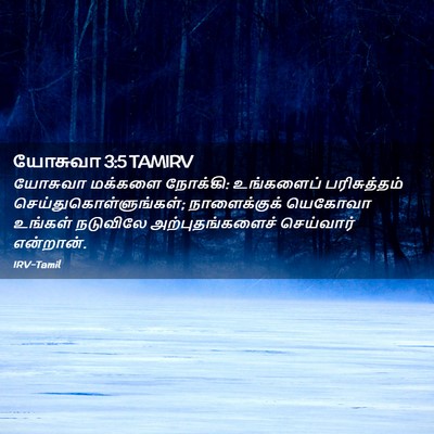 Picture 02 - யோசுவா 3:5 TAMIRV - யோசுவா மக்களை - Bible Verse Picture